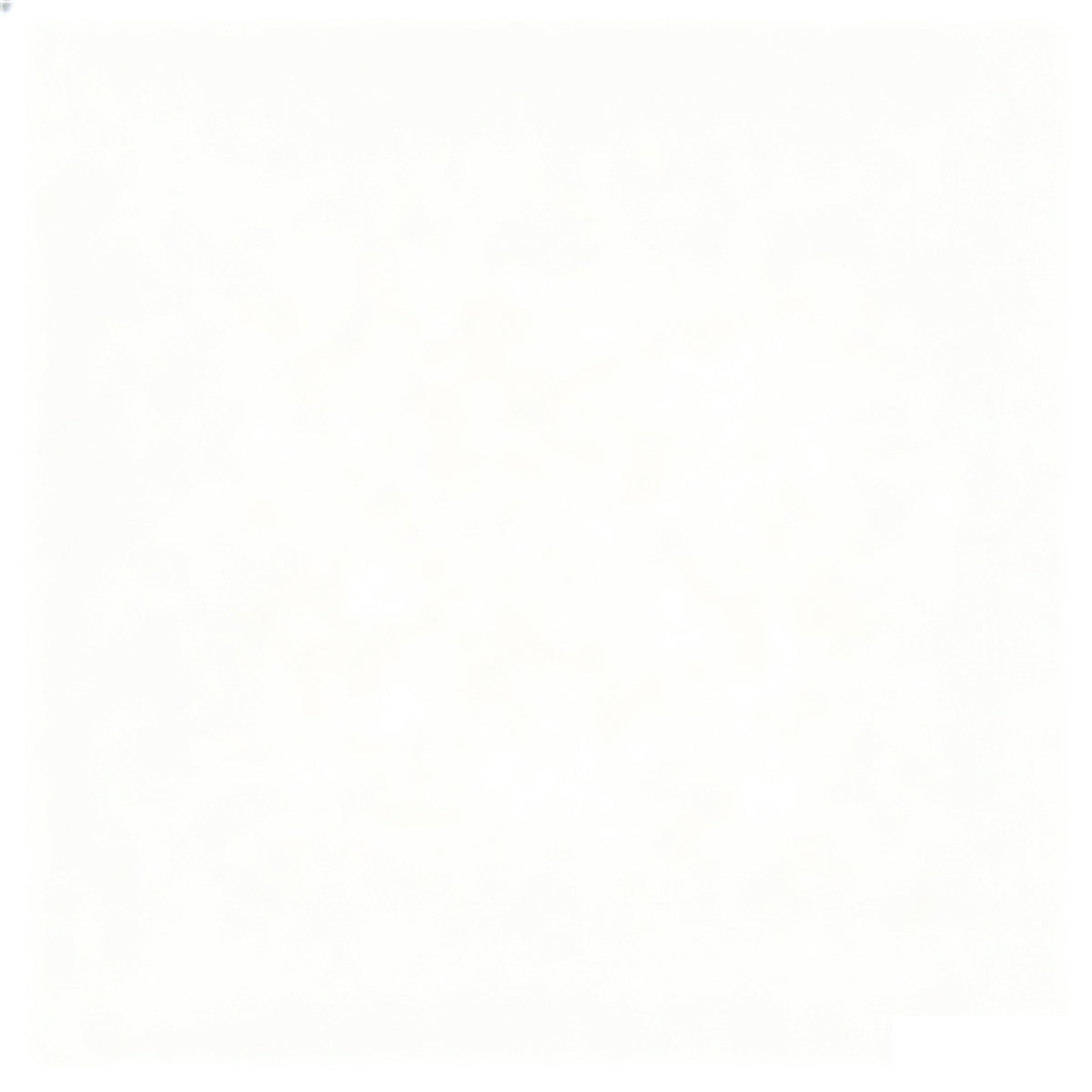 Non-Iron Poplin Shirt in White — 100% cotton 100/2 poplin dress shirt with permanent non-iron finish, made to measure